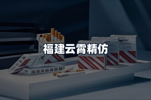 福建云霄精仿